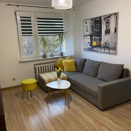 Apartament Saski 桑多梅日 外观 照片