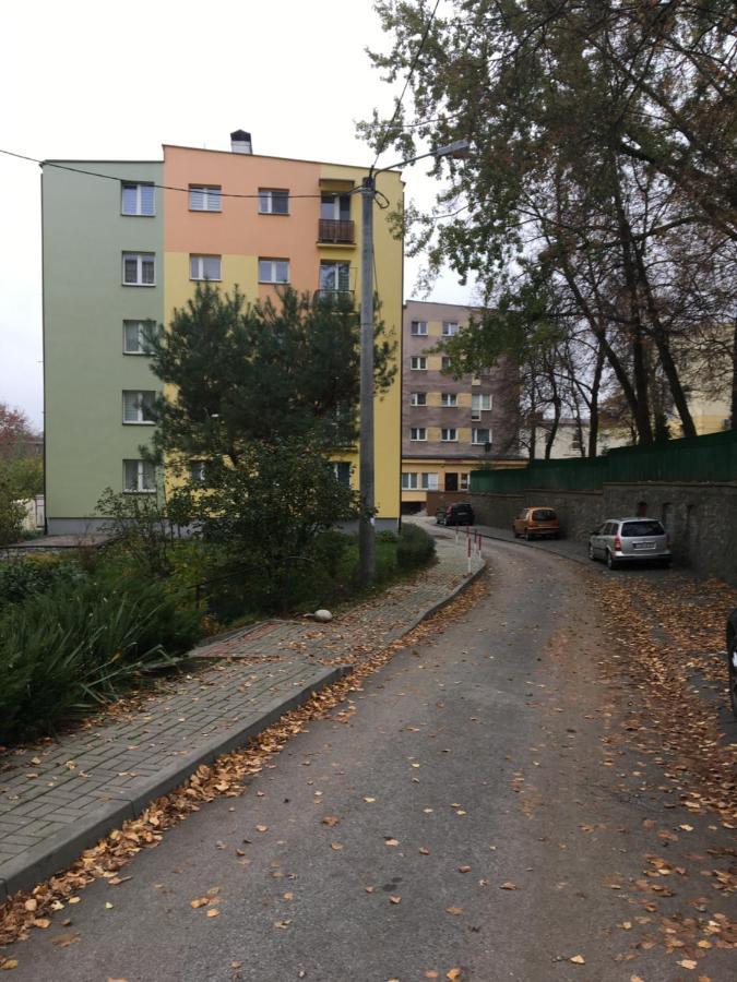 Apartament Saski 桑多梅日 外观 照片