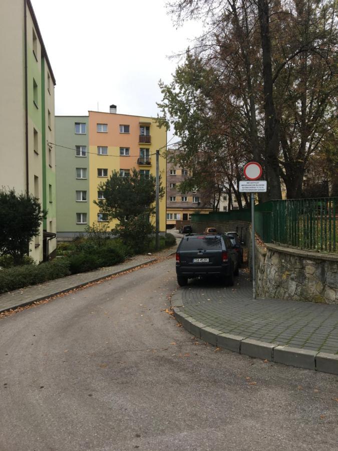 Apartament Saski 桑多梅日 外观 照片