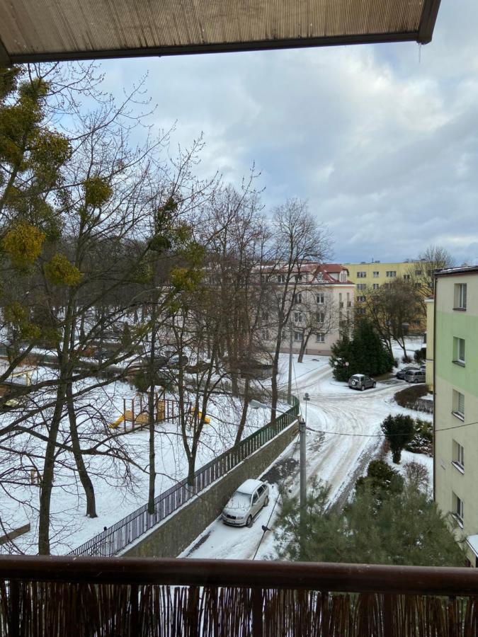 Apartament Saski 桑多梅日 外观 照片