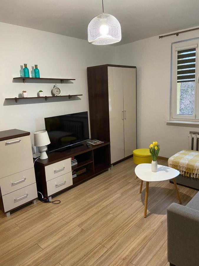 Apartament Saski 桑多梅日 外观 照片