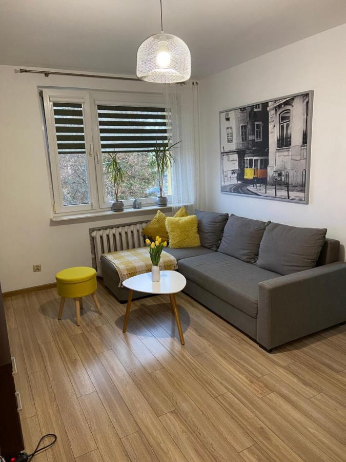 Apartament Saski 桑多梅日 外观 照片
